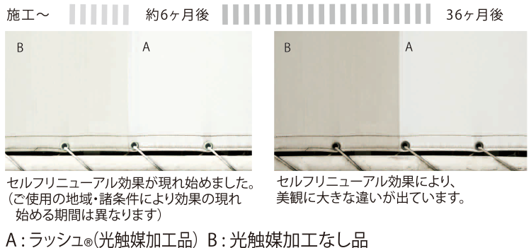 施工後〜36ヶ月後の比較