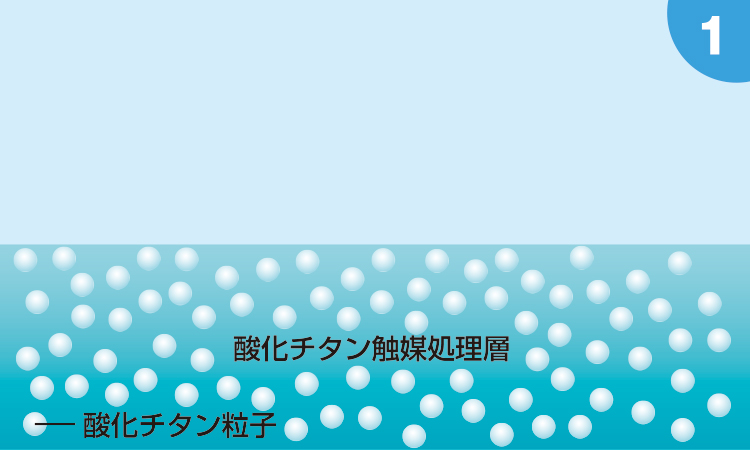 光触媒処理されたラッシュ®断面